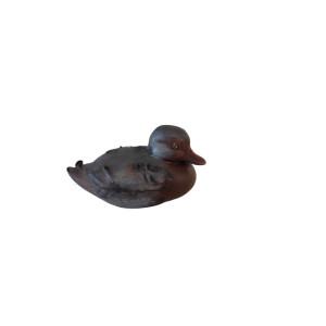Brown little sitting duck