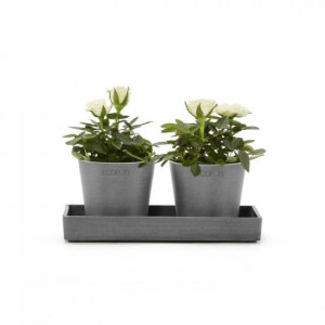 Δισκάκια για γλάστρες mini σε διάφορες διαστάσεις και αποχρώσεις 