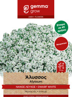 Gemma Αλυσσος λευκος νανος σποροι φακελος 