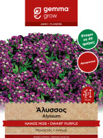Gemma Αλυσσος νανος μωβ σποροι φακελος 