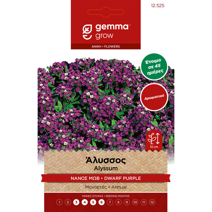 Gemma Αλυσσος νανος μωβ σποροι φακελος 