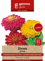 Gemma Ζιννια καλιφορνιας διπλη γιγας μιγμα σποροι φακελος 