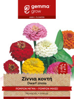 Gemma Ζιννια κοντη pompon μιγμα σποροι φακελος