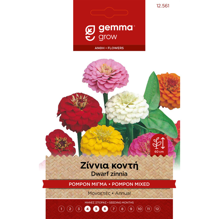 Gemma Ζιννια κοντη pompon μιγμα σποροι φακελος