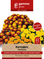 Gemma Κατηφες διπλος μπορντουρα φακελος 