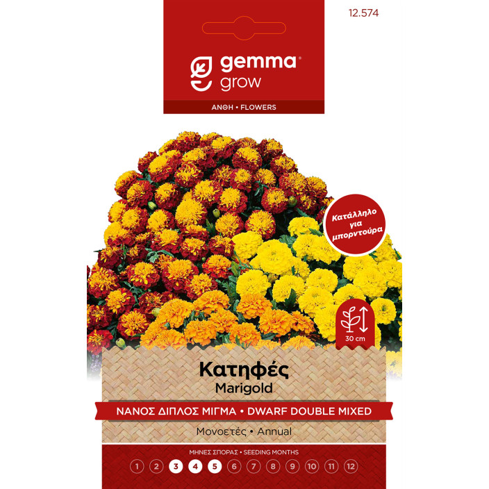 Gemma Κατηφες διπλος μπορντουρα φακελος 