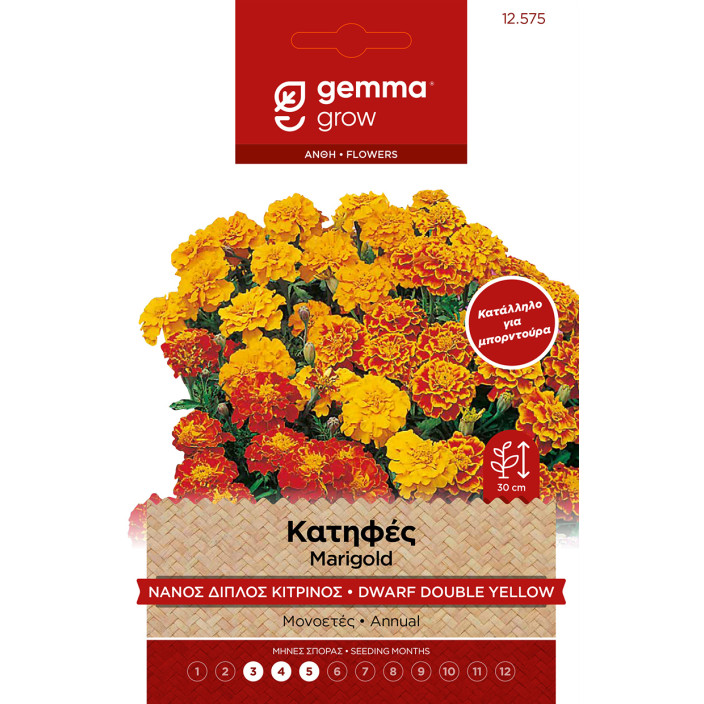 Gemma Σποροι hortus φακελα κατηφες διπλος κιτρινος 25 cm