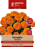 Gemma Κατηφες νανος διπλος πορτοκαλι σποροι φακελος 