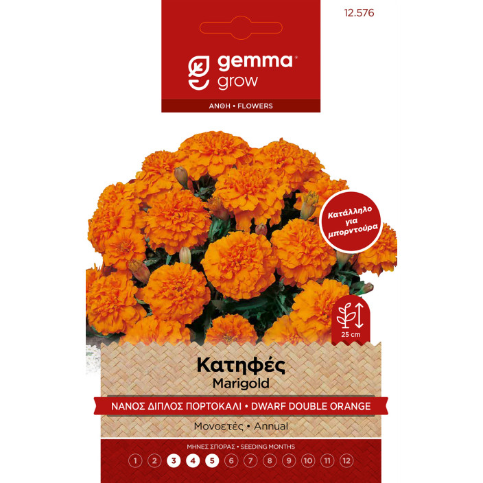 Gemma Κατηφες νανος διπλος πορτοκαλι σποροι φακελος 