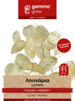 Gemma Λουναρια (γυαλακι) σποροι φακελος 