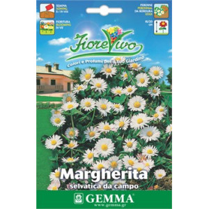 Hortus seeds sachets margarita field pratolina