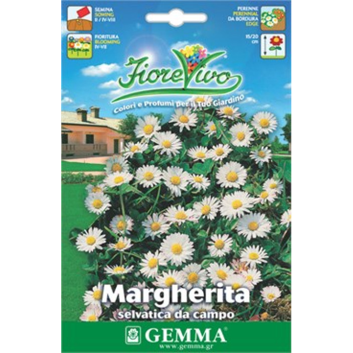Gemma Σποροι hortus φακελα μαργαριτα πρατολινα αγρού
