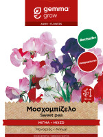 Gemma Μοσχομπιζελο αναρ/μενο μιγμα σποροι φακελος 