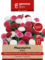 Gemma Μαργαριτα (μπελλα) διπλη μιγμα σποροι φακελος 