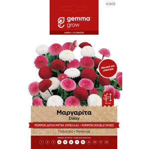 Margarita (bella) double mix of gemma envelope seeds