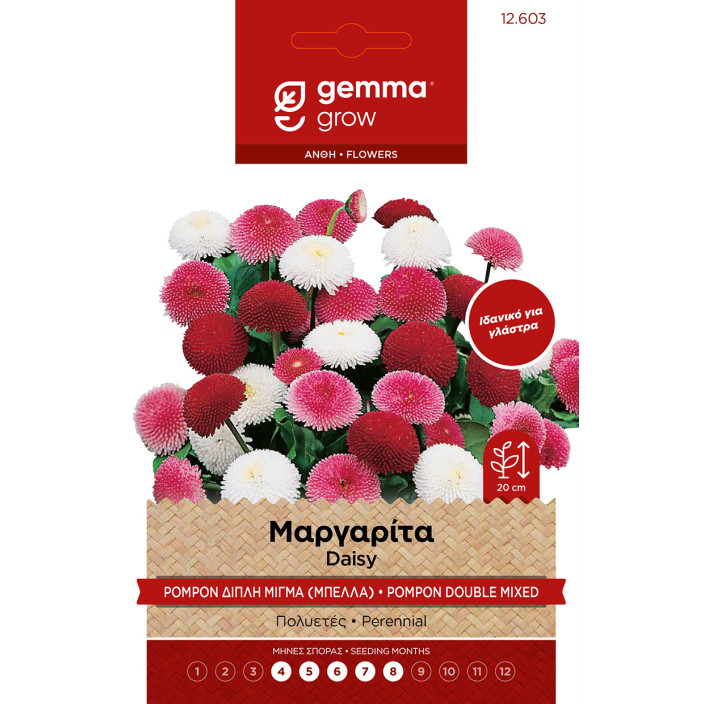 Gemma Μαργαριτα (μπελλα) διπλη μιγμα σποροι φακελος 