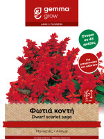 Gemma Φωτια νανα σποροι φακελος 