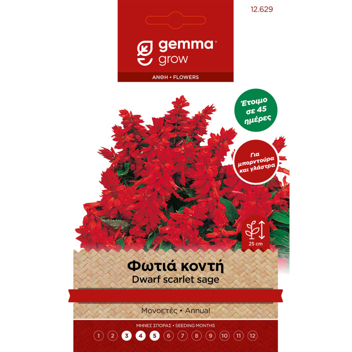 Gemma Φωτια νανα σποροι φακελος 