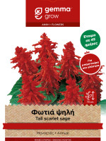 Gemma Φωτια ψηλη σποροι φακελος