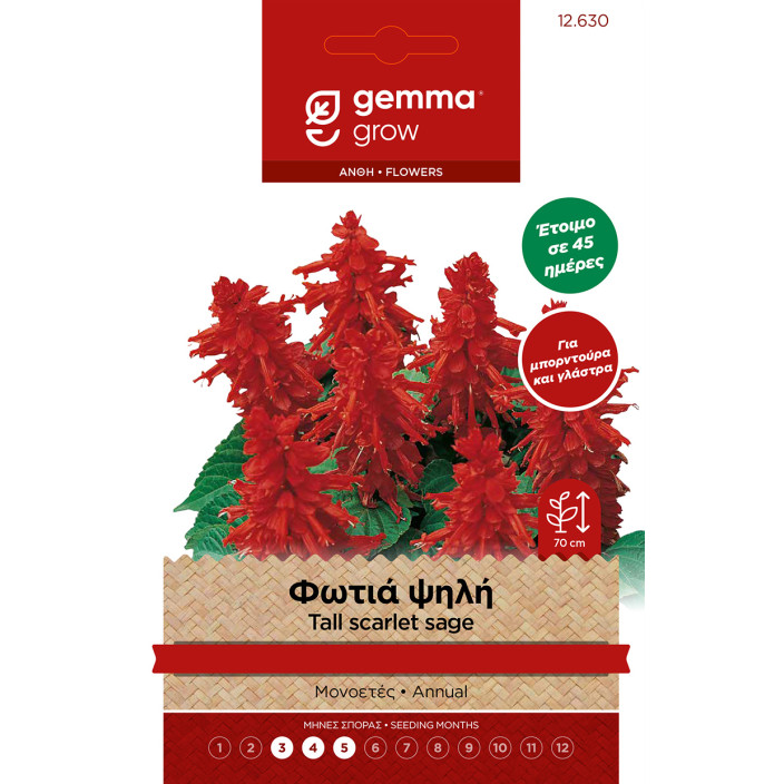 Gemma Φωτια ψηλη σποροι φακελος