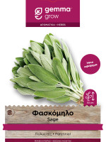 Gemma Φασκομηλο σποροι φακελος