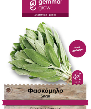 Gemma Φασκομηλο σποροι φακελος