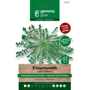 Gemma Σταμναγκαθι παραδοσιακο κρητικο σποροι φακελος 