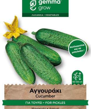 Gemma Αγγουρακι για τουρσι σποροι piccolo verde di parigi φακελος 