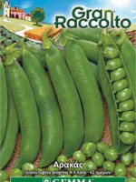 Gemma Σποροι raccolto φακελα αρακας xxl