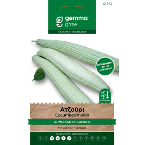 Gemma Ατζουρι σποροι tortarello verde chiaro φακελος 