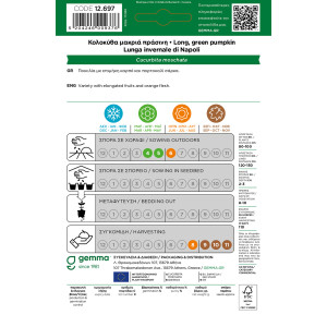 Gemma Κολοκυθα πρασινη μακρια σποροι φακελος 