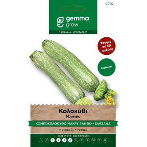 Gemma Κολοκυθι μακρυ ξανθο (κομποκολοκυθο) σποροι alberello di sarzana φακελος 