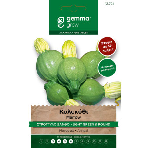 Gemma Κολοκυθάκια στρογγυλά ξανθά σπόροι tonda chiara di toscana φάκελο