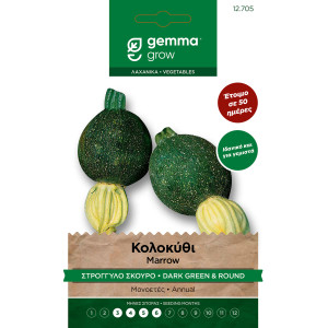 Gemma Κολοκυθι στρογγυλο σκουρο σποροι tondo di piacenza φακελος 