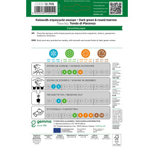 Gemma Κολοκυθι στρογγυλο σκουρο σποροι tondo di piacenza φακελος 