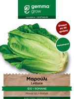 Gemma Μαρουλι romana καλοκαιρινο φακελος 