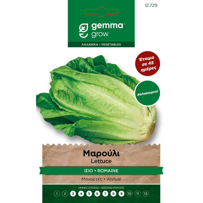 Gemma Μαρουλι romana καλοκαιρινο φακελος 