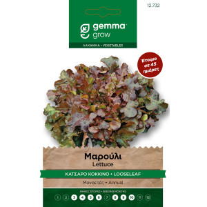 Gemma Μαρουλι κατσαρο κοκκινο σποροι biscia rossa φακελος 