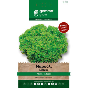 Gemma Μαρουλι λολα σποροι lollo φακελος