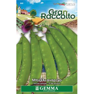 Gemma Σποροι raccolto φακελα μπιζελι