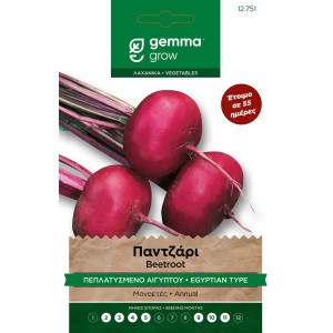 Gemma Παντζαρι πεπλατυσμενο αιγυπτου σποροι egitto migliorata φακελος 