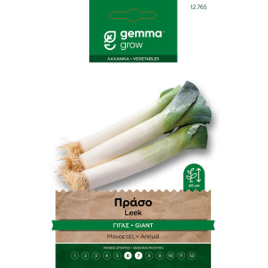 Gemma Πρασο γιγας σποροι d'hiver 2 φακελος 