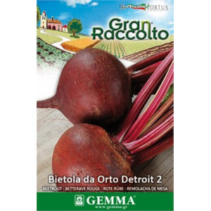 Gemma Σποροι raccolto φακελα παντζαρι detroit 2 