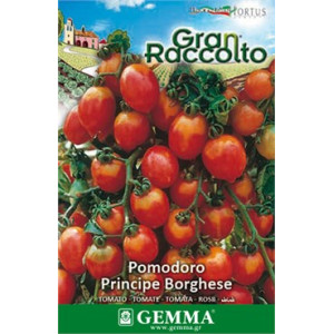 Gemma Σποροι raccolto φακελα τοματα μικρή 