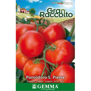 Gemma Σποροι raccolto φακελα τοματα αγ. πετρου