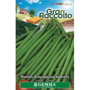 Gemma Σποροι φασολια φακελα τσαουλι αμερικανικο νανο contender xxl