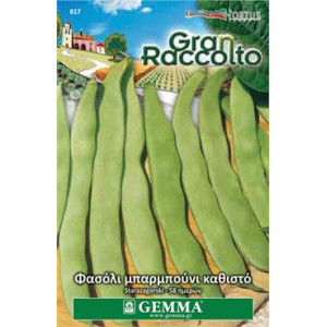 Gemma Σποροι φασολια φακελα μπαρμπουνι μαυρο καρπο νανο starazagorski xxl