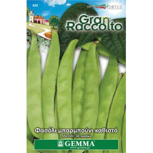 Gemma Σποροι φασολια φακελα μπαρμπουνι ασπρο καρπο νανο marconi xxl
