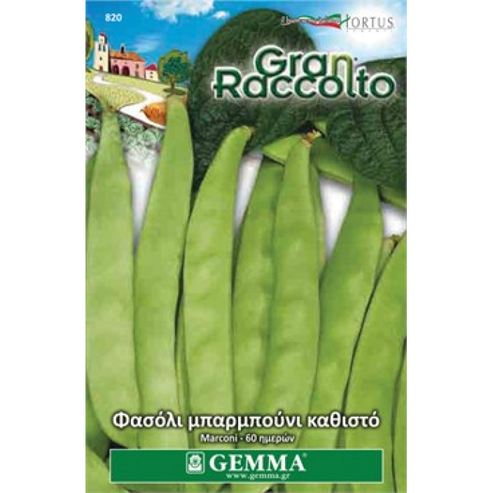 Gemma Σποροι φασολια φακελα μπαρμπουνι ασπρο καρπο νανο marconi xxl