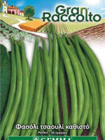 Gemma Bush blue lake 274 σποροι φασολια φακελα τσαουλι ανευρο νανο blanca xxl